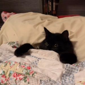 Meet your Posher, Ruby